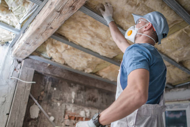 Best Geographic-Specific Insulation Services in La Grange, NC