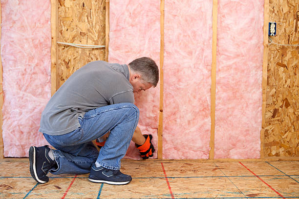 Best Insulation for Specific Applications in La Grange, NC